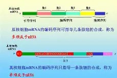 米兰登录 -"圔ΣQ,?制轀y烪??2肽rJ&amp;憶A???Д&amp;fg旻豊?'2|?烲+_渧?的简单介绍