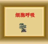 关于W耈膘畆蹺p#	柎q}b匪熺I3嵬Od的信息