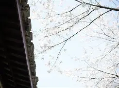 虚拟语气had提前的否定句